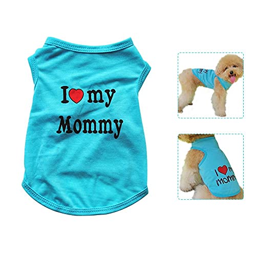 NIDONE Camiseta sin Mangas del Chaleco Personalizado Perro Fino y Transpirable Chaleco del Perro de Verano, Ropa Linda para Mascotas en Pequeña Mediana Perros, Gatos (M-Azul Cielo)