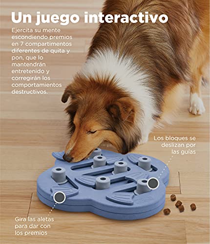 Nina Ottosson por Outward Hound Dog Hide n' Slide - Dispensador interactivo de recompensas - Rompecabezas para perros - Morado