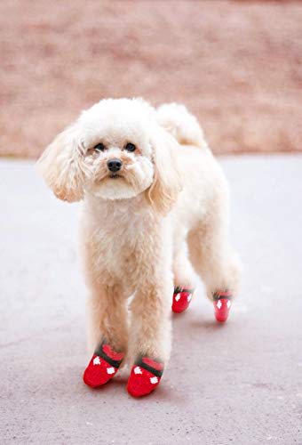 NO Miystn Calcetines Antideslizantes para Perros, Calcetines para Perros, Protector Patas Perro, Ajuste para Perros Extra Pequeños a Grandes (12 Piezas, Rojo, Amarillo y Azul)