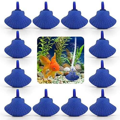 Nobleza - 12 x difusor de Burbujas de Piedra de Aire en Forma de Concha para Tanque de Peces de Acuario Bomba de Aire Azul 4.7 * W3.3CM