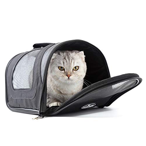 Nobleza - Bolso Transportín de Viaje Plegable para Perros y Gatos, Tela Oxford, Color Negro, Talla S, (34 * 21 * 22) cm