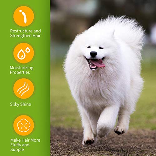 Nobleza champú para Perros Blancos -Eliminar Las Manchas sin lejía ni peróxido, champu Perros Pelo Blanco con Fragancia de Naranja, Champú para bichón, Maltés y Samoyedo 250 ml