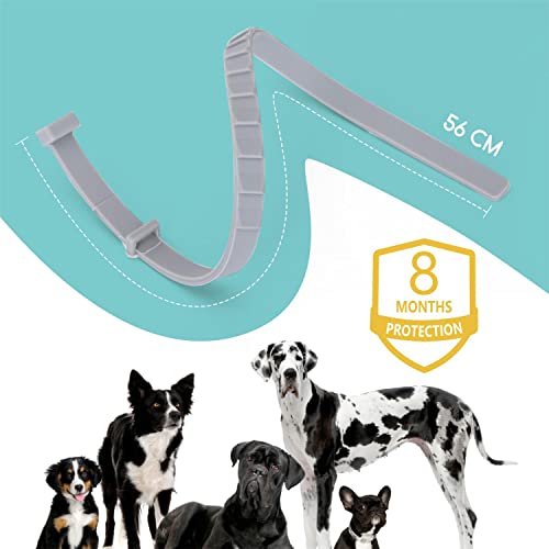 Nobleza Collar Antiparasitos para Perros y Gato,contra Pulgas,Garrapatas y Mosquitos,Tamaño Ajustable e Impermeable para Mascota Pequeño Mediano Grandes,8 Meses de Protección（56CM）