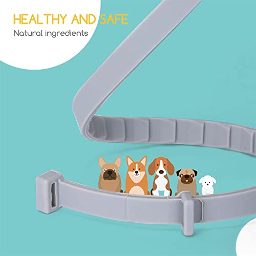 Nobleza Collar Antiparasitos para Perros y Gato,contra Pulgas,Garrapatas y Mosquitos,Tamaño Ajustable e Impermeable para Mascota Pequeño Mediano Grandes,8 Meses de Protección（56CM）