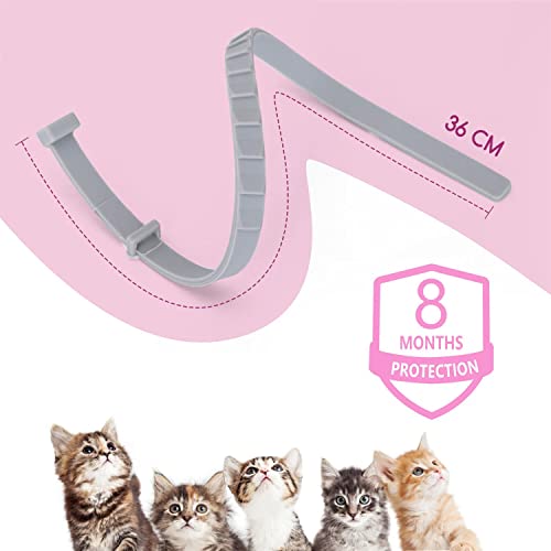 Nobleza Collar antipulgas y garrapatas para Gatos,contra Pulgas,Garrapatas y Mosquitos,Tamaño Ajustable e Impermeable,Aceites Esenciales Naturales,8 Meses de Protección(36CM)