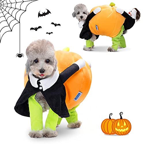 Nobleza - Disfraz de Calabaza y Payaso de Halloween para Perros, Disfraz Divertido De Gato, Disfraz de Cosplay Novedad Funny, Abrigo de Invierno cálido (XL)