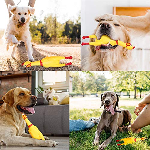 Nobleza - Juguete de Goma para Perros, Pollo Gritando Amarillo, Juguete pequeño de descompresión chirriante para Limpiar los Dientes