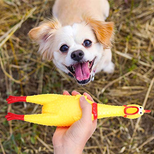 Nobleza - Juguete de Goma para Perros, Pollo Gritando Amarillo, Juguete pequeño de descompresión chirriante para Limpiar los Dientes