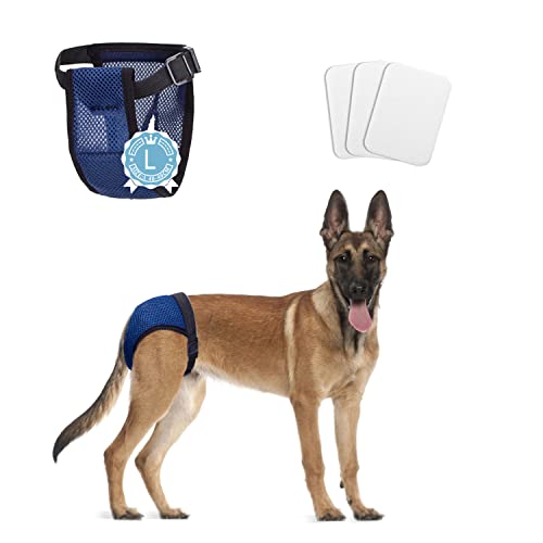 Nobleza Pañales para Perros, Pantalones Protectores Lavables con 3 Toallas Sanitarias, Calzoncillos Higiénicos Perra en Calor, Bragas Reutilizables Perras, 1 Ud. Cintura 40-49 cm, L