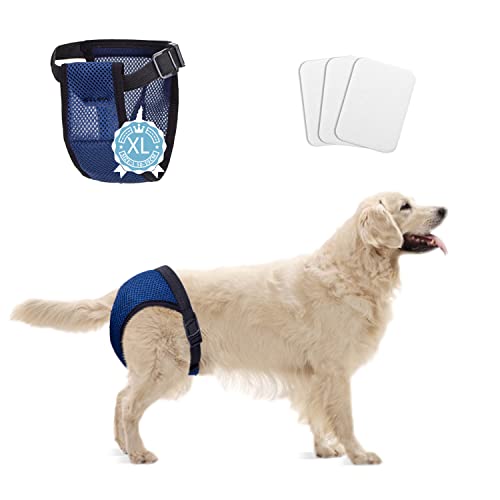 Nobleza Pañales para Perros, Pantalones Protectores Lavables con 3 Toallas Sanitarias, Calzoncillos Higiénicos Perra en Calor, Bragas Reutilizables Perras, 1 Ud. Cintura 50-59 cm, XL