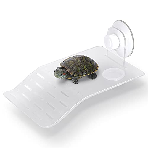 Nobleza - Plataforma Tortugas, Plástico Transparente Tortugas Basking Plataforma con Ventosas, para Tortuga o Reptil, L12*W18.5CM