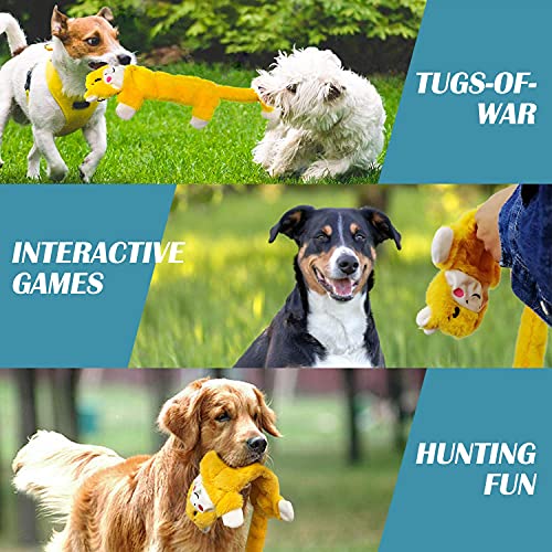 Nocciola - Juego de 5 Juguetes para Perros arrugados con Tela Reforzada de Doble Capa, Juguetes duraderos para Perros, sin Relleno, Juego de Juguetes de Peluche para Perros pequeños a Grandes