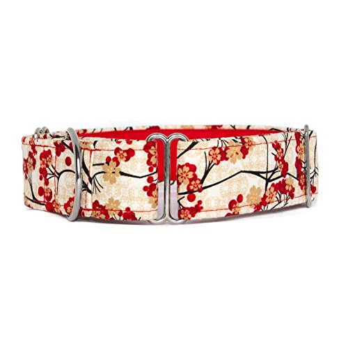 Noddy & Sweets - Collar para martingala (5 cm), color rojo