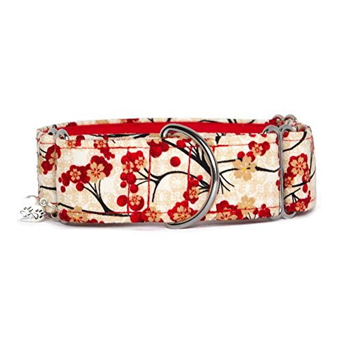 Noddy & Sweets - Collar para martingala (5 cm), color rojo