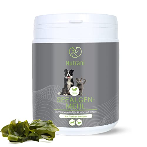 Nutrani Harina de Algas para Perros y Gatos | 500 g - Polvo 100% Natural de Algas Marinas (Ascophyllum nodosum) - Aporta Importantes minerales, oligoelementos, aminoácidos, YODO y Zinc