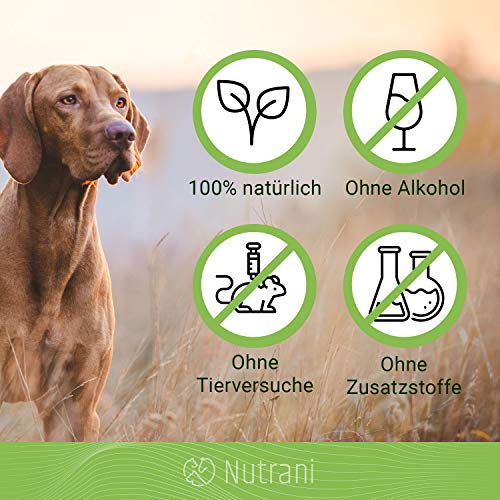 Nutrani Omega-3 Aceite de salmón para Perros, Gatos y Caballos | 1 litro prensado en frío - Aceite de Pescado Natural con ácidos grasos Omega 3 + 6