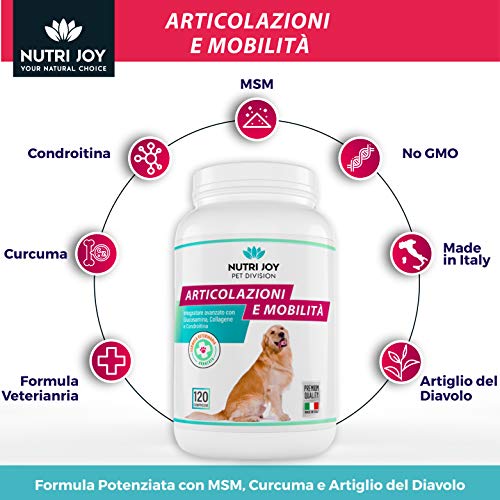 NutriJoy Suplementos para Perros Mobility + - Suplementos para Mascotas - Condroprotector Perros para Articulaciones - Curcuma para Mascotas - Tabletas Masticable