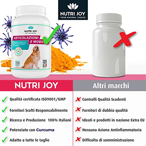 NutriJoy Suplementos para Perros Mobility + - Suplementos para Mascotas - Condroprotector Perros para Articulaciones - Curcuma para Mascotas - Tabletas Masticable