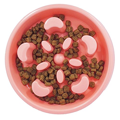 NYKKOLA Respetuoso del medio ambiente Durable Pet Fun Alimentador Perro Bowl Alimentador Lento Parada Inflamación Perro Alimentación Bowl Interactivo Gato Bowl Rosa