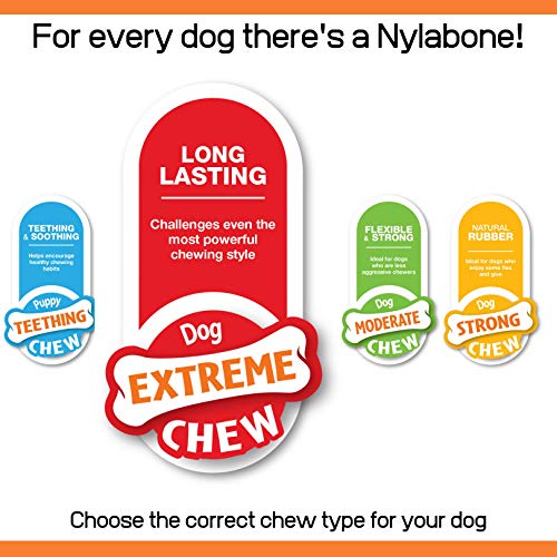 Nylabone - Extreme Chew