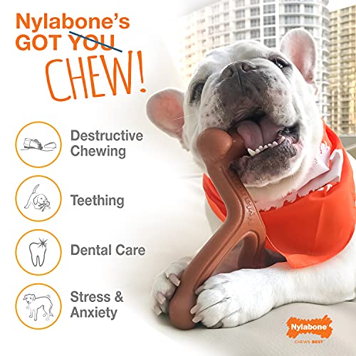 Nylabone Hueso Curvado Masticable, Sabor A Mantequilla De Cacahuete, Juguete para Perros con Mordida Potente, Tamaño Grande (para Perros De hasta 23 Kg). 140 g