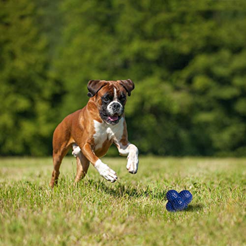 Nylabone Pelota loca para perros Power Play Ball grande (1 unidad)