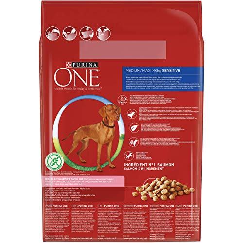 One - Pienso Medio/Maxi > 10 kg, Delicado, Rico en salmón para Perro, 2,5 kg