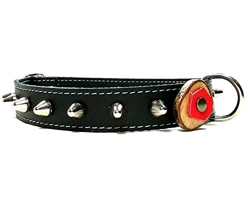 Original Collar para Perro de Cuero Negro con Pinchos, Todas las Tallas, Correa Opcional, Diseño Original Artesano con Olivo y Cuero Rojo, Mediano, 50 cm M-wide: Cuello 35-40 cm, Ancho 28mm