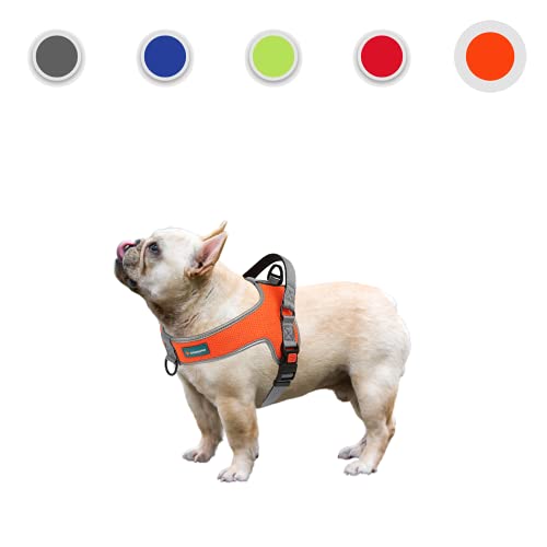 OrionisPet Arnés para Perros pequeño y Mediano Arnés para Perros Grande Transpirable Reflectante cómodo Suave Ajustable fácil de Usar Arnés para Perros (Naranja, M)