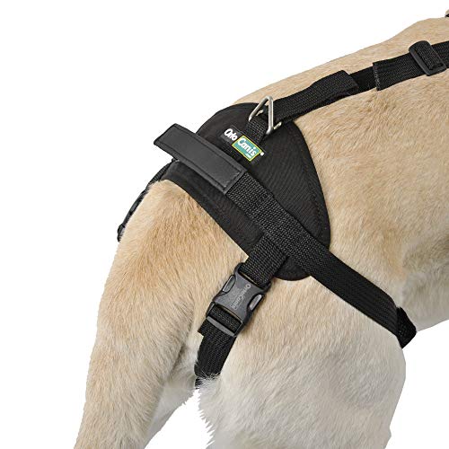 Ortocanis Arnés canino Integral - Apoyo Tren Anterior y Posterior - Talla S