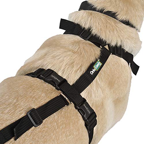 Ortocanis Arnés canino Integral - Apoyo Tren Anterior y Posterior - Talla S