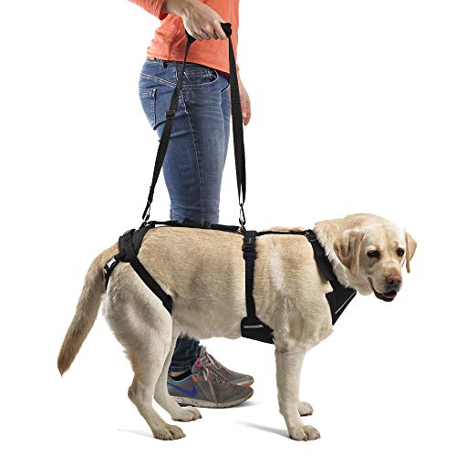 Ortocanis Arnés canino Integral - Apoyo Tren Anterior y Posterior - Talla S