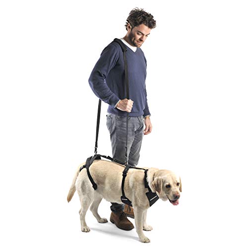 Ortocanis Arnés canino Integral - Apoyo Tren Anterior y Posterior - Talla S