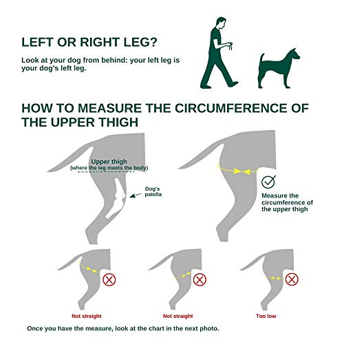 Ortocanis Inmovilizador de Rodilla para Perros con Rotura de ligamentos, luxación de rótula - 2 férulas Laterales limitan los Movimientos - 8 Tallas Disponibles - Talla M - Pata Izquierda