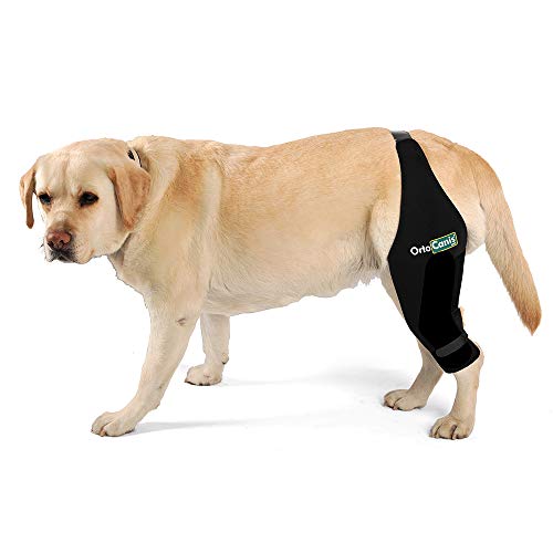 Ortocanis Inmovilizador de Rodilla para Perros con Rotura de ligamentos, luxación de rótula - 2 férulas Laterales limitan los Movimientos - 8 Tallas Disponibles - Talla M - Pata Izquierda