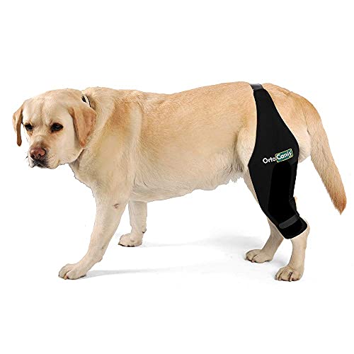 Ortocanis Inmovilizador de Rodilla para Perros con Rotura de ligamentos, luxación de rótula - 2 férulas Laterales limitan los Movimientos - 8 Tallas Disponibles - Talla XL - Pata Izquierda