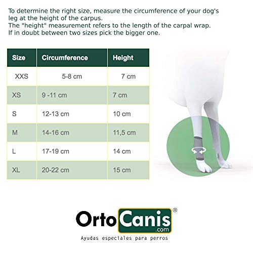 Ortocanis - Muñequera para Perros con artrosis, Lesiones a ligamentos, tendones o Perros Que practican Agility - Talla M