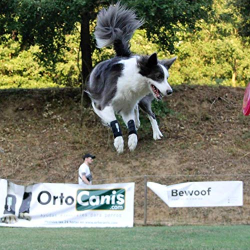 Ortocanis - Muñequera para Perros con artrosis, Lesiones a ligamentos, tendones o Perros Que practican Agility - Talla M