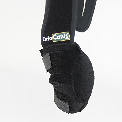 Ortocanis - Protector de Codo para Perros con artrosis, Lesiones, hygromas, Bursitis - 4 Tallas - Color Negro (L - Derecho)