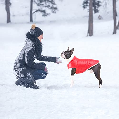 Oslueidy Abrigo de Perro Reversible,Chaqueta de Invierno para Perros Chaleco de Cachorro Caliente Ropa Impermeable para Mascotas Snowsuit de Perros para pequeños Perros Grandes