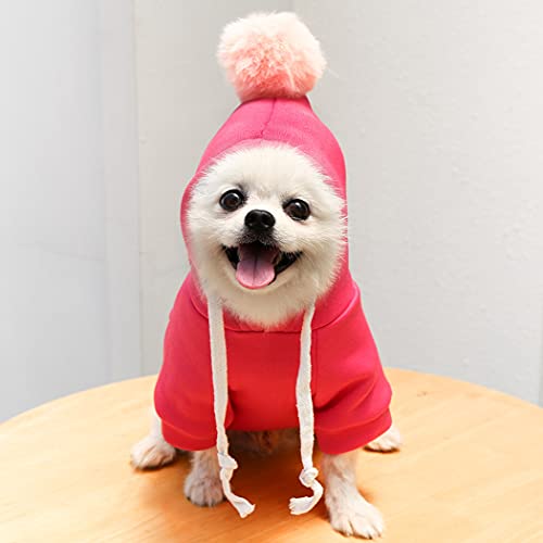 Oslueidy Sudaderas con Capucha para Perros Abrigo de Invierno para Perros,Chaleco cálido para Cachorros Ropa de algodón para Mascotas para Perros Grandes,medianos,pequeños,Peluche