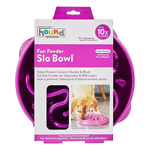 Outward Hound Fun Feeder Slo-Bowl - Comedero con obstáculos para perros - Morado - Grande/normal