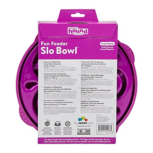 Outward Hound Fun Feeder Slo-Bowl - Comedero con obstáculos para perros - Morado - Grande/normal