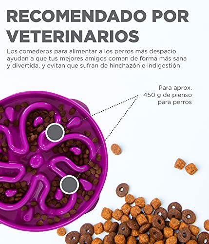 Outward Hound Fun Feeder Slo-Bowl - Comedero con obstáculos para perros - Morado - Grande/normal