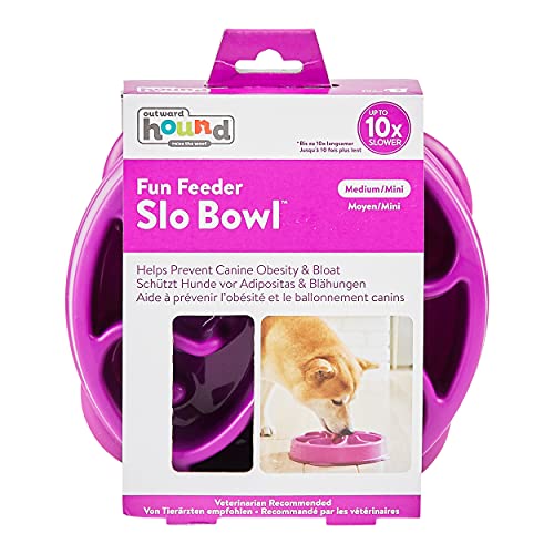 Outward Hound Fun Feeder Slo-Bowl - Comedero con obstáculos para perros - Morado - Mediano/mini