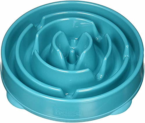 Outward Hound Fun Feeder Slo-Bowl - Comedero con obstáculos para perros - Turquesa - Grande/normal