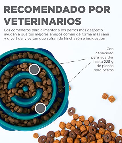 Outward Hound Fun Feeder Slo-Bowl - Comedero con obstáculos para perros - Turquesa - Mediano/mini