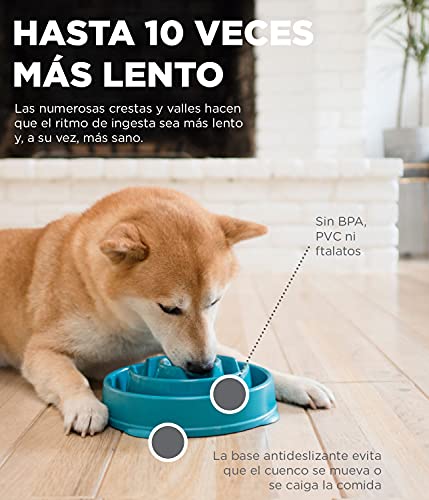 Outward Hound Fun Feeder Slo-Bowl - Comedero con obstáculos para perros - Turquesa - Mediano/mini