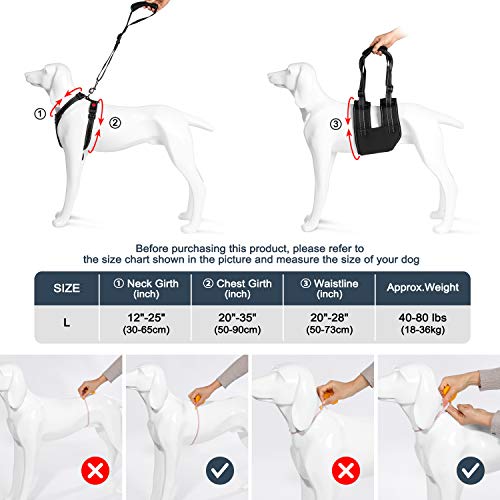 Ownpets Conjunto de arnés de Soporte para Perros,Perro elevación Soporte arnés canino Ayuda rehabilitación arnés para Perros con Patas traseras débiles,Correa asistida y Cable de Transporte, L