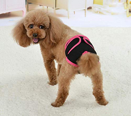 Oyccen 2 Piezas Pañales Reutilizables Pantalones Fisiológicos para Perros Pequeños Medianos y Grandes Ropa Interior Hembra Mascota Bragas Sanitarias Higiene Pañal